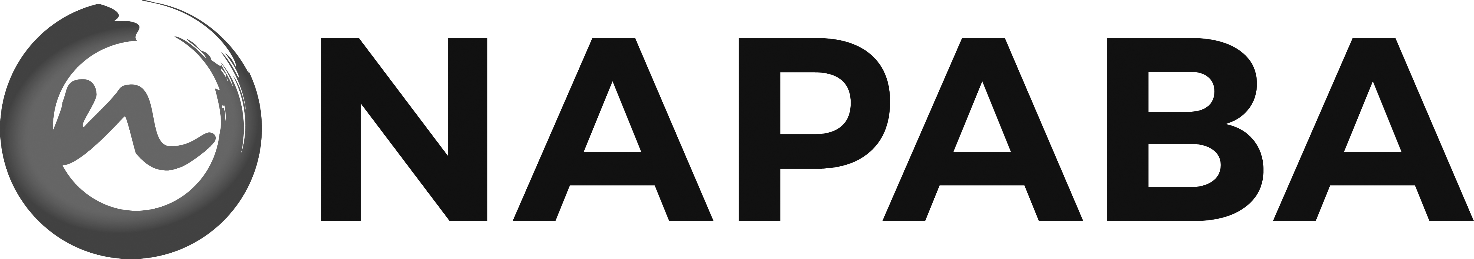 NAPABA Logo
