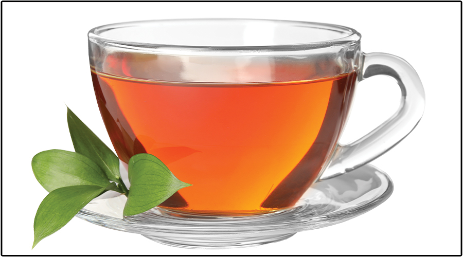 Reading the Tea Leaves on Medicare Provider Enrollment Ownership and Affiliation Disclosures