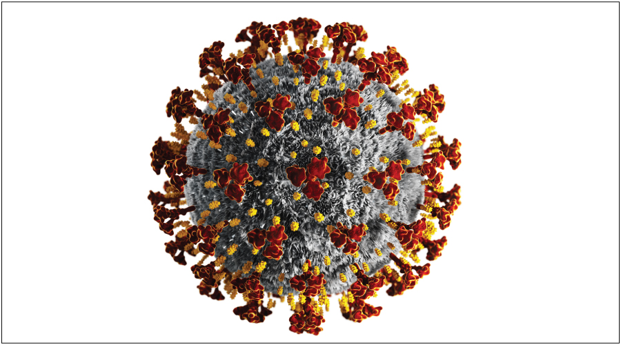 coronavirus 