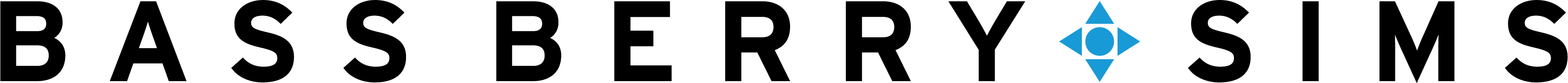 Bass Berry & Sims PLC