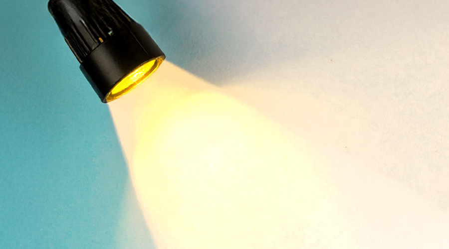 Spotlight on Leaders