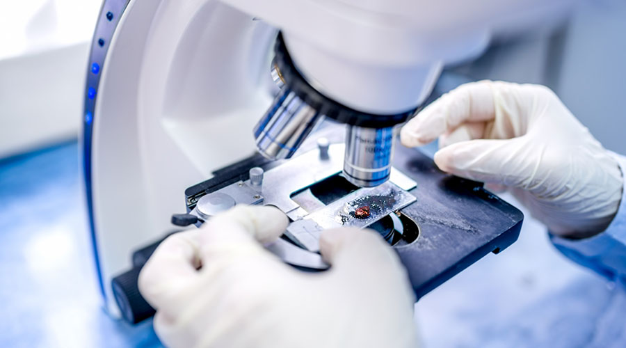 microsope