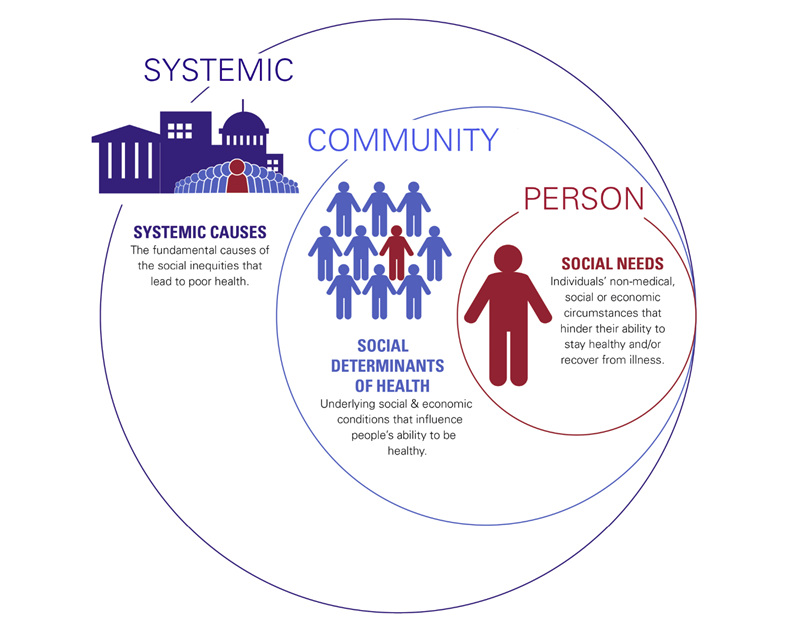 Societal Factors that Influence Health Graphic