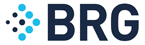 BRG Logo