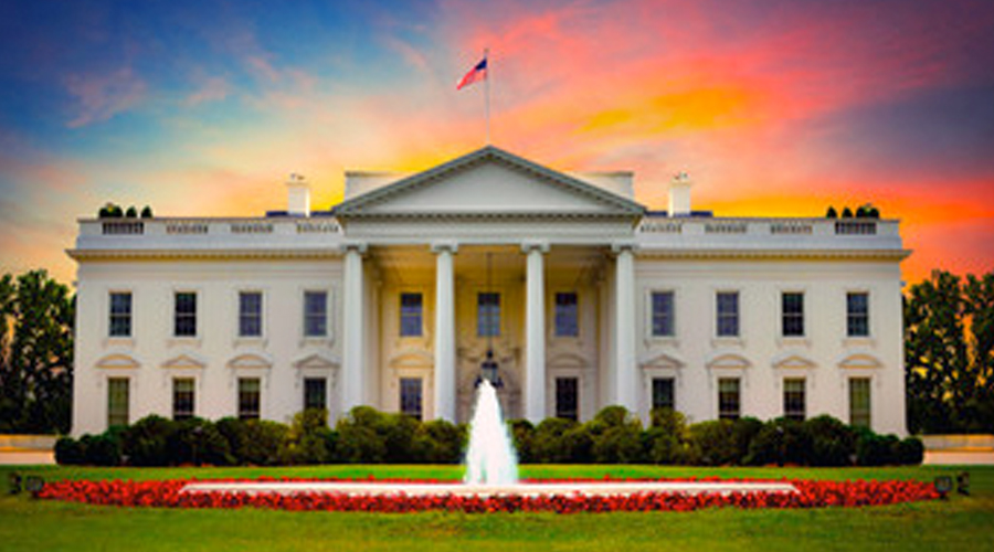 white house